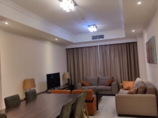 Fully furnished luxurious flat at low rent